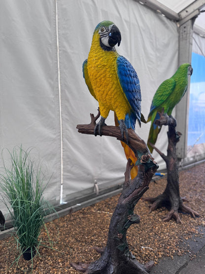 Blue Macaw on Branch – Bronze Sculpture. 70x70x168cm - 15Kg