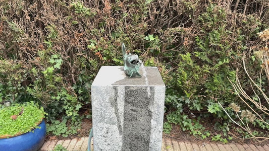 Leaping Fish – Bronze Sculpture. 18x6x11cm - 0.6Kg