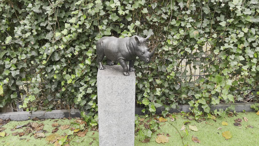 Powerful Rhino – Bronze Sculpture. 51x16x27cm - 8.7Kg
