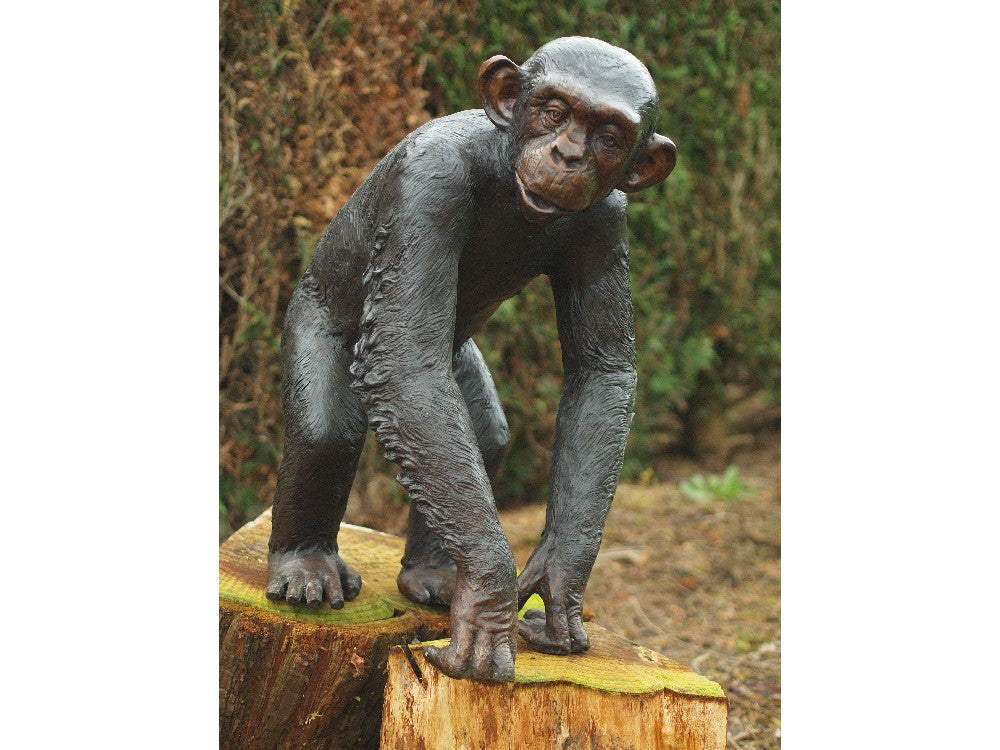 Macaco em Bronze 77x38x55cm