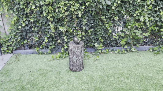 Playful Cat – Bronze Sculpture. 14x6x10cm
