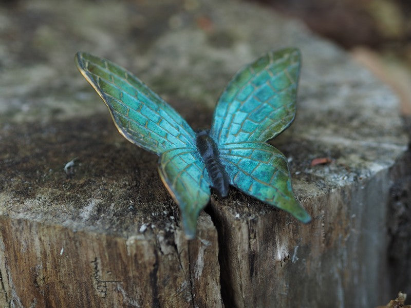 Borboleta em Bronze 3x12x14cm