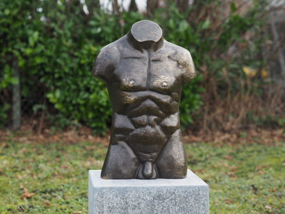 Torso Masculino