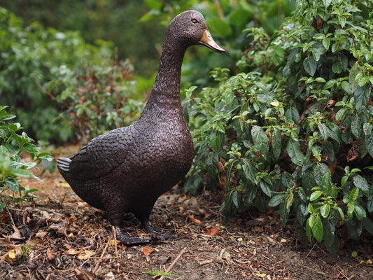 Pato em Bronze 48x19x50cm