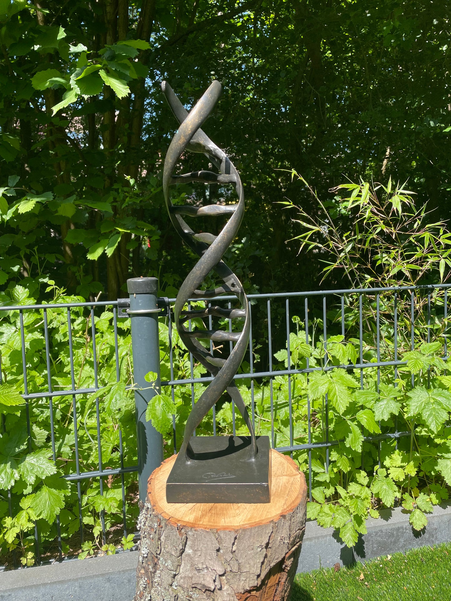 DNA Bronze 53x13x13cm