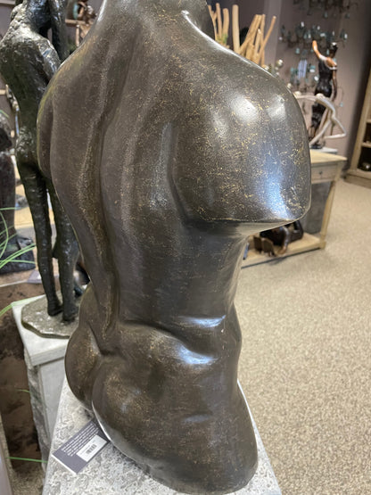 Torso Masculino