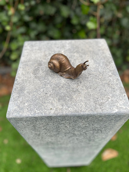 Caracol em Bronze 6x5x11cm