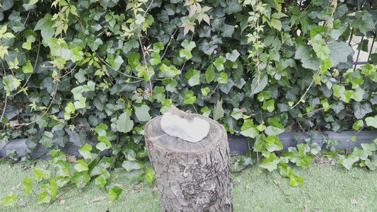 Dragonfly on Stone – Bronze Sculpture. 8x7x3cm