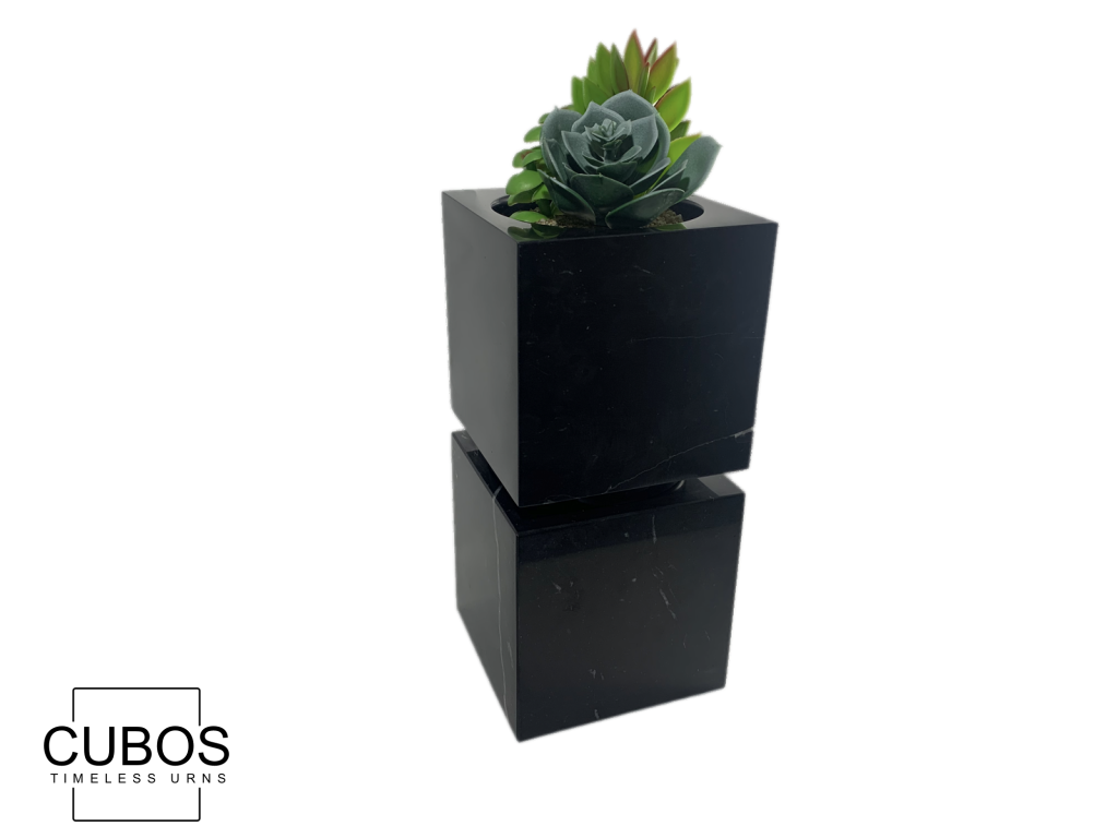 Cubos Plant Nero Marquina