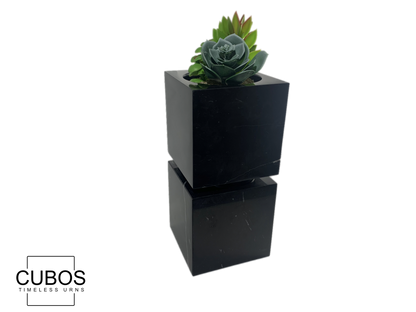 Cubos Plant Nero Marquina