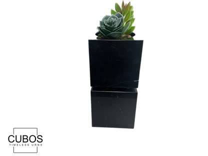 Cubos Plant Nero Marquina